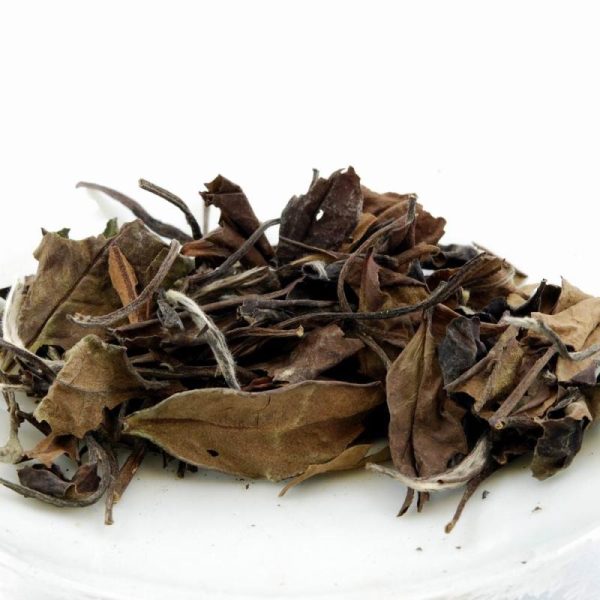 White Teas | The Chinese Tea Shop 2006 High Mountain Shou Mei Loose Leaf White Tea Tea The Chinese Tea Shop